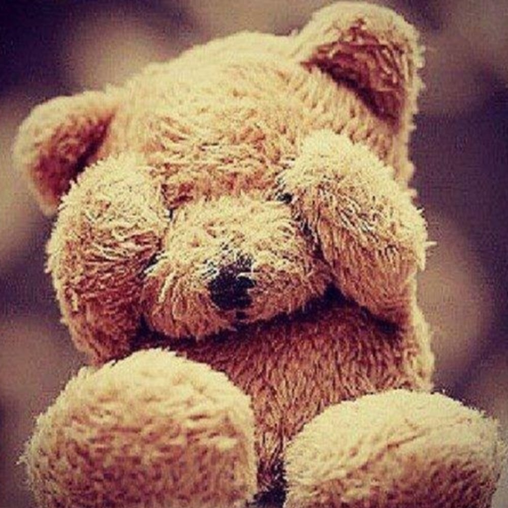 Meet your Posher, Sophia